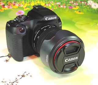 Canon EOS 2000D Reflex Wifi