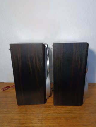 Altavoces Technics SB-DV250