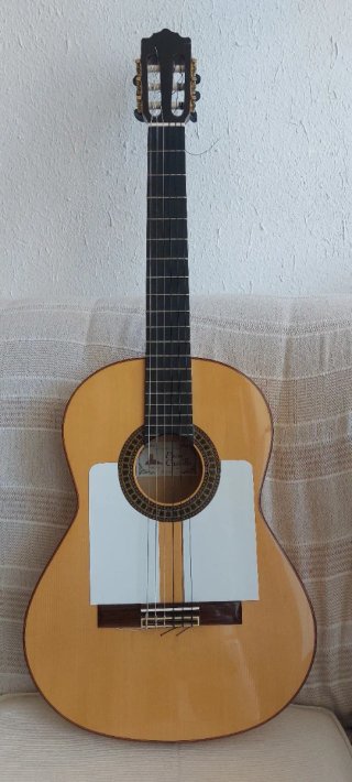 Guitarra flamenca Paco Castillo
