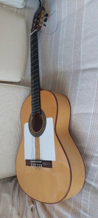 Guitarra flamenca Paco Castillo