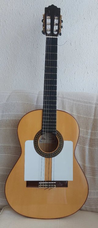 Guitarra flamenca Paco Castillo