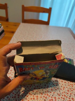 The Simpsons Bart vs. the World NES