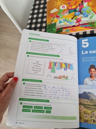 Libro francés les bloquearse A 1.1