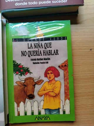 Lote de 8 libros infantiles y juveniles
