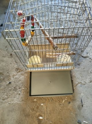 Jaula para pájaros con accesorios