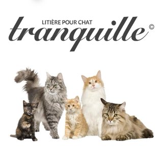Arena para Gatos Tranquille Cristal 100% Reciclabl