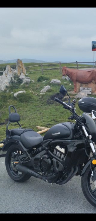 Escape Kawasaki vulcan s