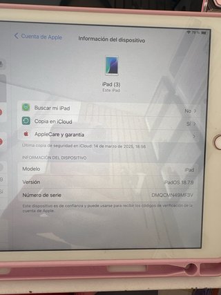 iPad Rosa Apple