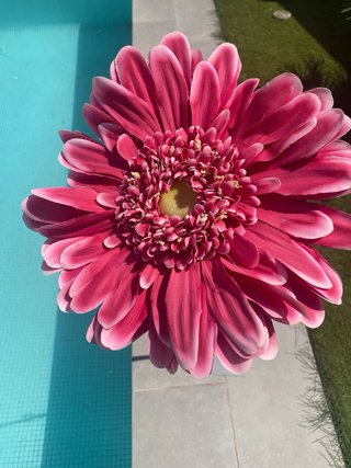Flor Decorativa Maisons du Monde