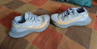Nike Pegasus Trail 2 Talla 36.5