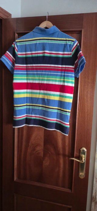 Polo Ralph Lauren rayas multicolor