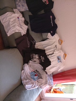 Lote  nueve Camisetas Champion Talla XL liberto Ni