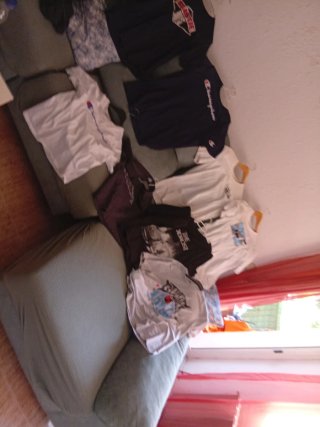 Lote  nueve Camisetas Champion Talla XL liberto Ni