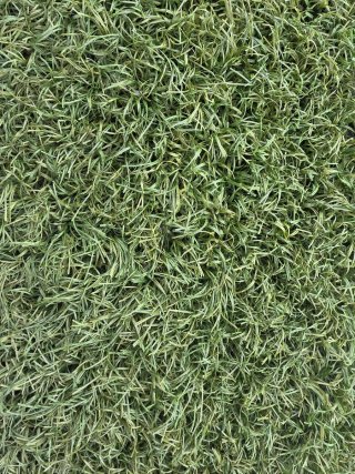Césped artificial. A partir de 50m2 envío GRATIS.