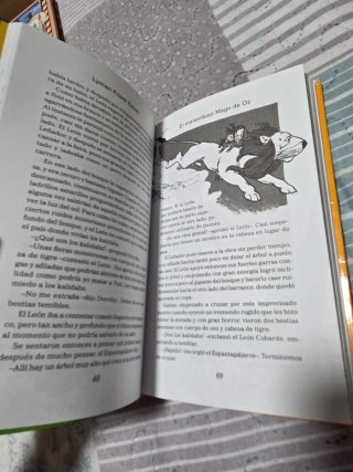 Libro juvenil: ElMaravilloso Mago de Oz.