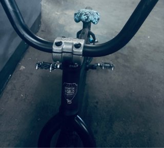 Bmx WTP Zodiac