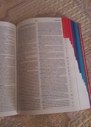 Diccionario Avanzado Primaria. Lengua española