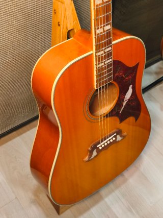 Epiphone Dove Studio Guitarra Acústica