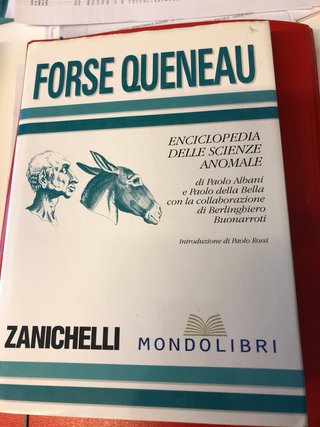 Libro forse queneau