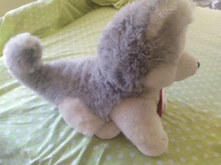 Peluche perro husky