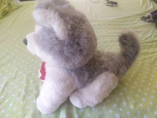 Peluche perro husky