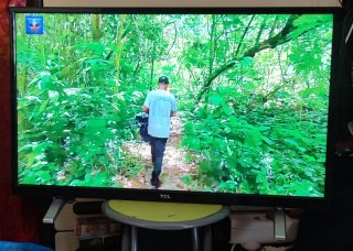 Televisor TCL LED 32 HD
