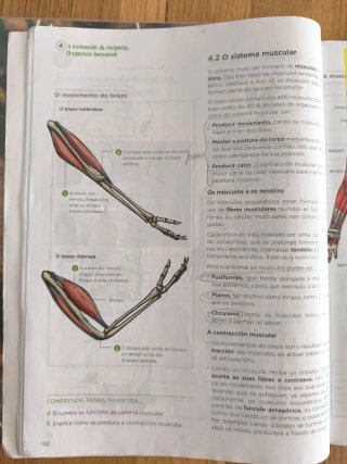 Bioloxía e xeoloxía, 3 ESO, Galicia, Operación ...