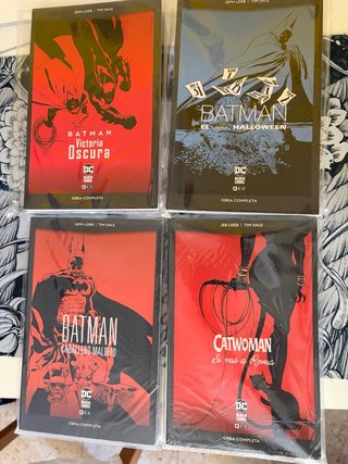 Largo Halloween lote. Jeph Loeb Tim Sale.