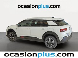 Citroen C4 Cactus BlueHDi 100 S&S C-Series 75 kW (102 CV)