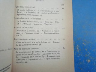 Libros de lectura biblioteca básica Salvat 4 unid