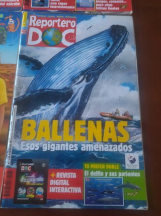 4 revistas reportero DOC