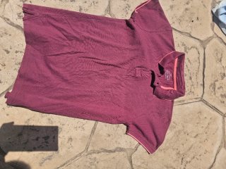 Lote 8 polos hombre