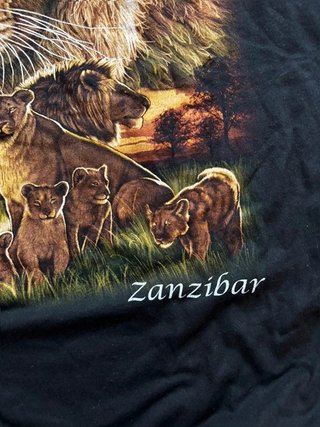 Vintage Hot Rock Zanzibar shirt Graphic Tee