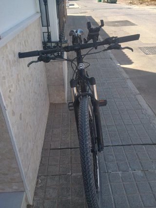 Bicicleta Mendiz 29