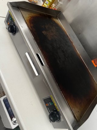 Plancha Profesional VEVOR