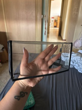 Funda Nintendo Switch OLED y protector antipolvo