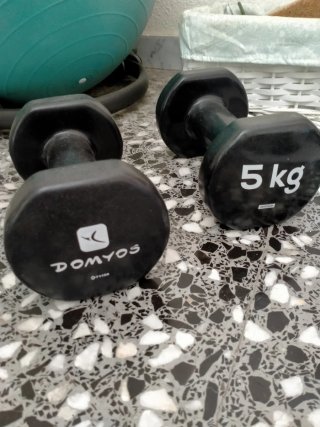 Mancuernas Domyos 5 kg (Par)