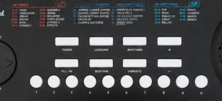 Teclado electrónico de aprendizaje Sheffield