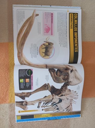 Superdinosaurios