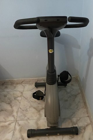 Bicicleta Estática ProAction Gris