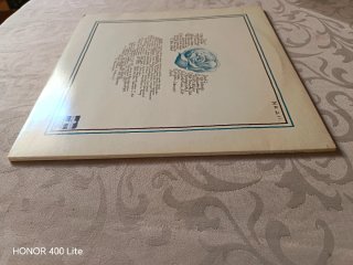 Fungus vinilo Folk Rock