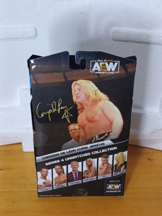 Action Figure AEW WWE Chris Jericho Luminaries