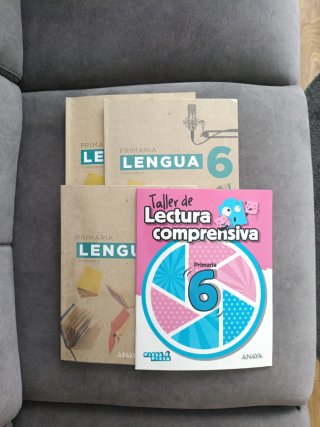 Lengua 6 primaria (1-3 libros)