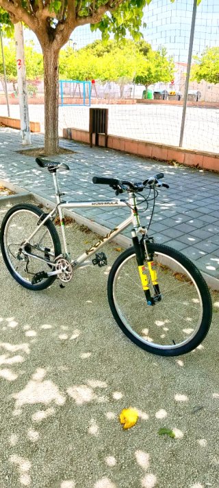 Bicicleta Kona Muni-Mula