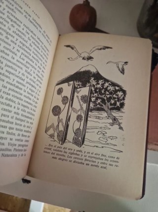 Lote libros antiguos