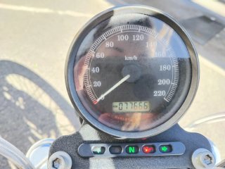 Harley Davidson Sportster XL 883 LOW