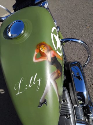 Harley Davidson Sportster XL 883 LOW