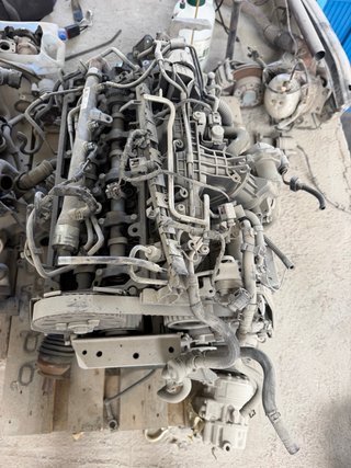 Despiece Motor Ibiza 6J