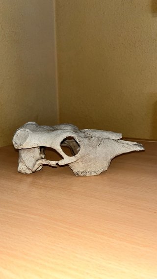 Kit para terrarios