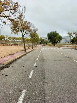 Se venden dos parcelas contiguas en Horche